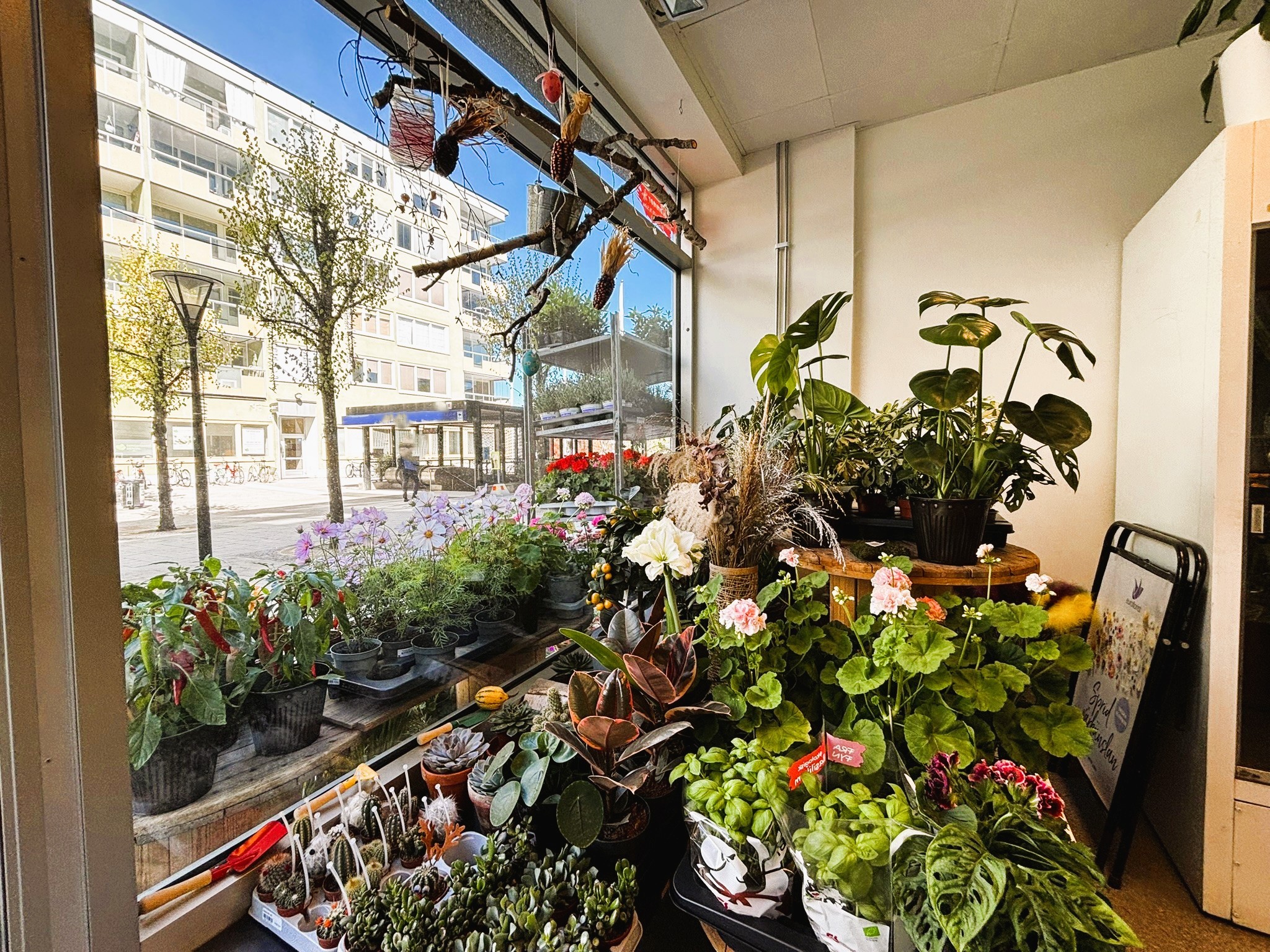 Blomsterbutik till salu i Stockholm – 45 kvm bild 1