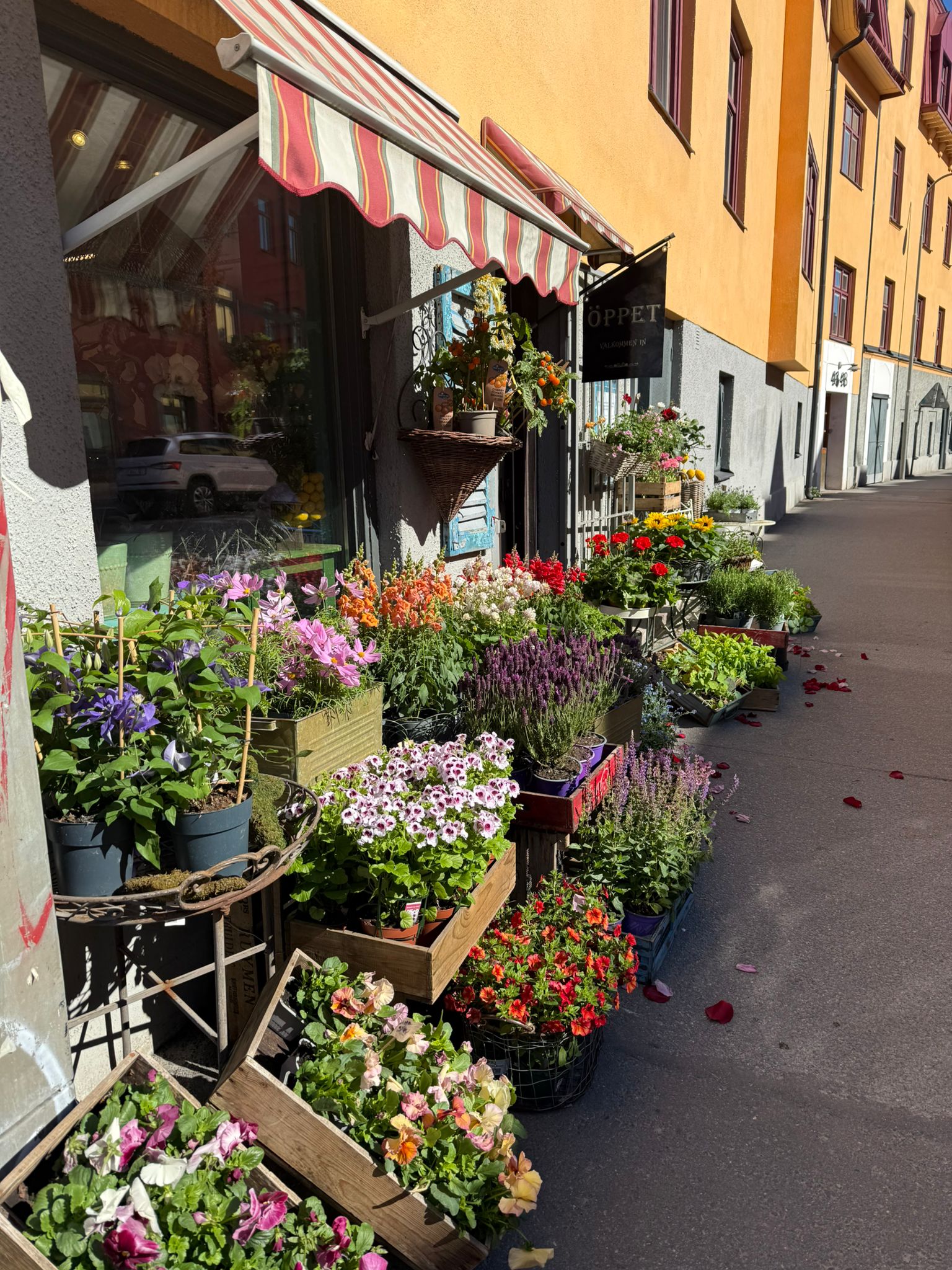 Blomsterbutik i Stockholm – 51 kvm bild 1